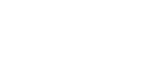 Evolution Gaming logo